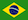 Brasilian